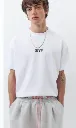 TS.webp