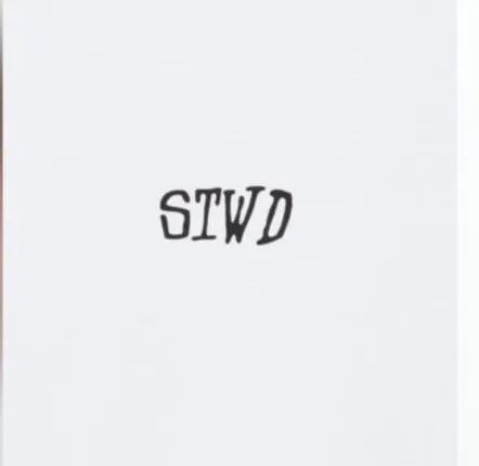 TS3.webp