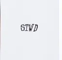 TS3.webp