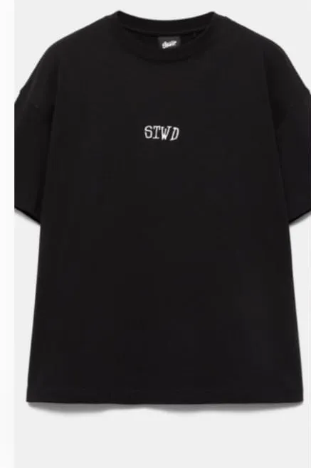 TS3.webp