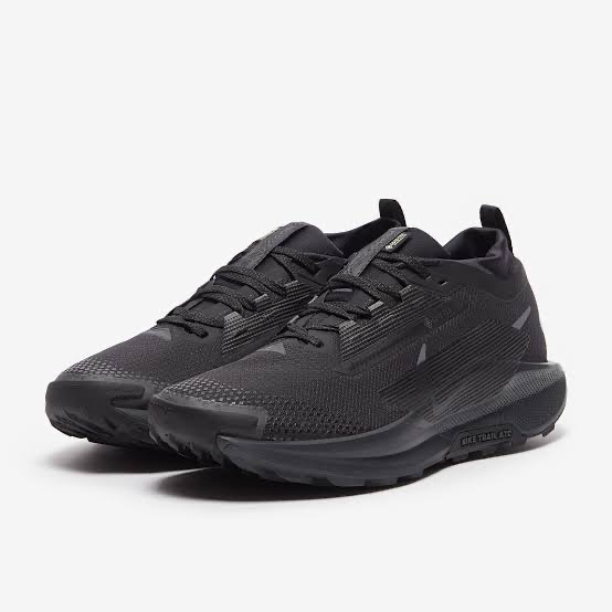 [101790] Running Gore-Tex Nike (40)